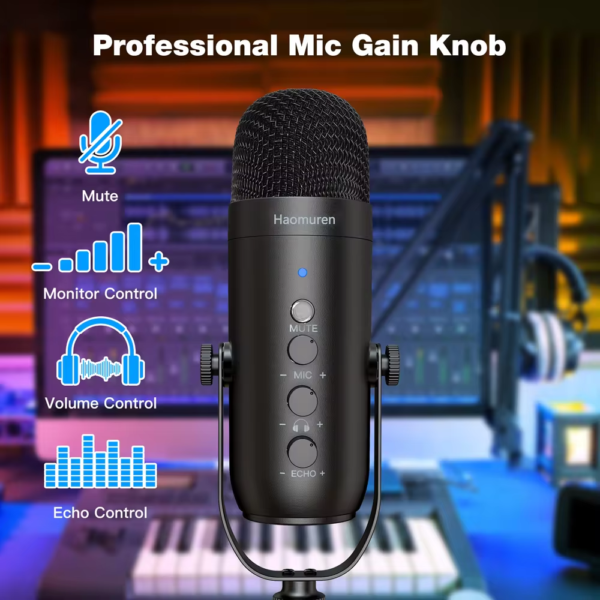 microphone k66ss Haomuren K66S